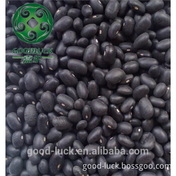 black kidney beans,BKB,small type